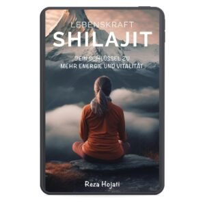 Shilajit Buch Lebenskraft - eBook